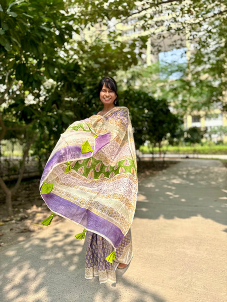 Chanderi Blockprinted Cotton Silk Saree
