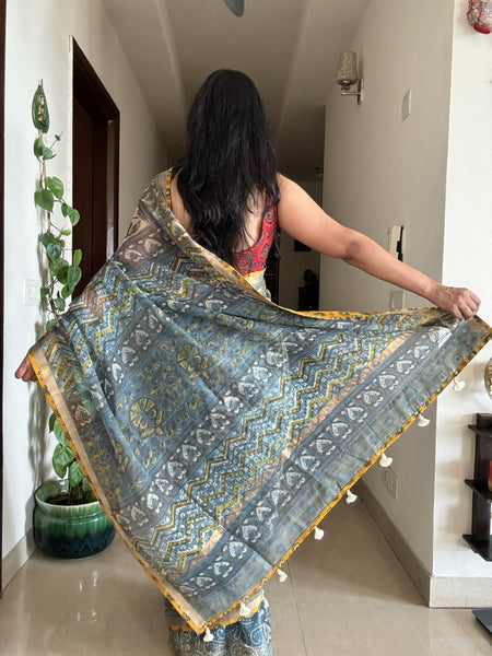 kota doria cotton saree with patchwork border