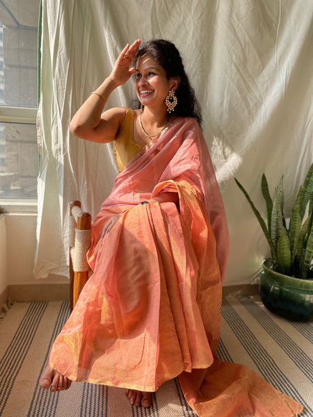 Jaal embroidery on BP -Tissue Chanderi handwoven Saree- Orange & Pink