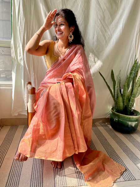 Jaal embroidery on BP -Tissue Chanderi handwoven Saree- Orange & Pink