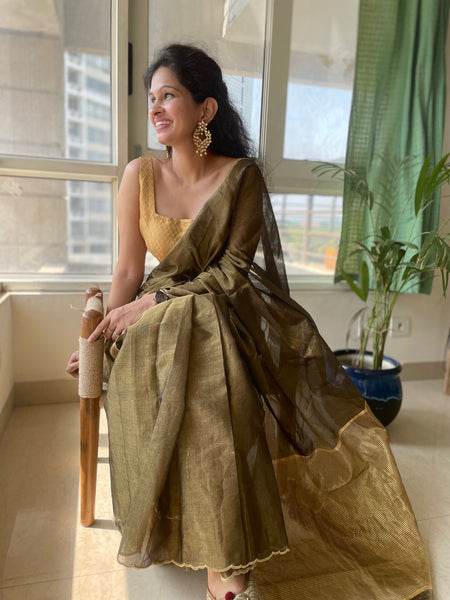 Jaal Embroidery on BP- Tissue Chanderi Handwoven Saree