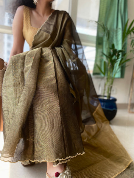 Jaal Embroidery on BP- Tissue Chanderi Handwoven Saree