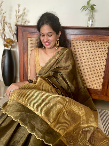 Jaal Embroidery on BP- Tissue Chanderi Handwoven Saree