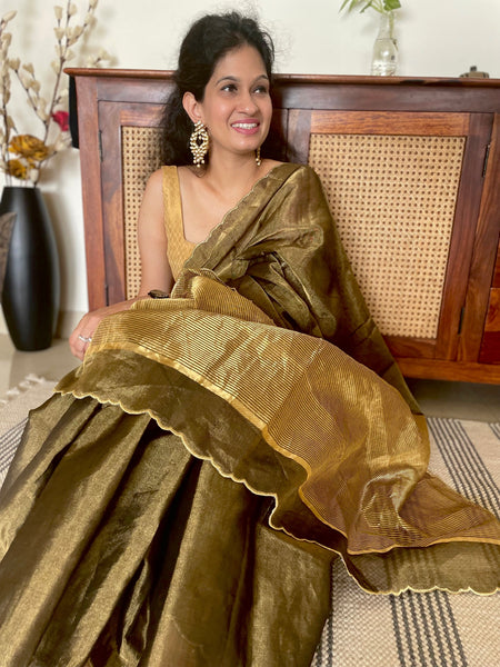 Jaal Embroidery on BP- Tissue Chanderi Handwoven Saree