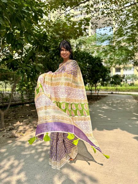 Chanderi Blockprinted Cotton Silk Saree