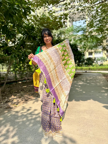 Chanderi Blockprinted Cotton Silk Saree