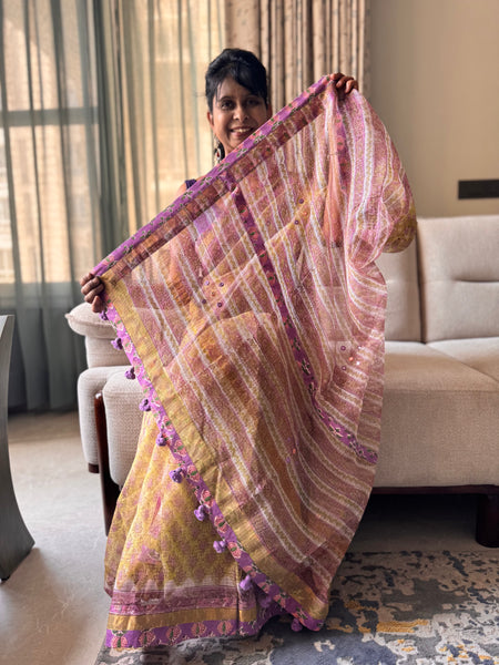 Embroidered pallu & patchwork inside border- kota doria saree