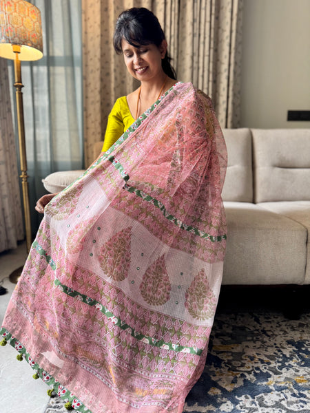 Embroidered pallu & patchwork border- kota doria saree