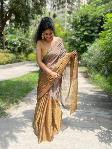 Tissue Chanderi handwoven Saree- Gold