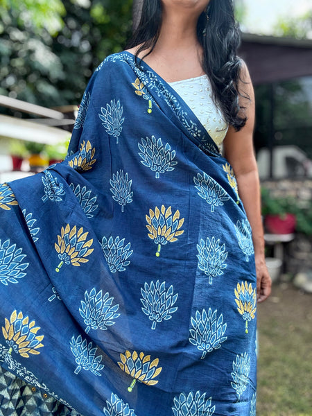 Embroidered pallu and front hand block printed cotton saree