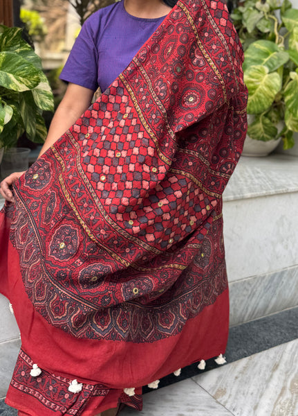 NOT SO PERFECT - Desert Geometry- Ajrakh Hand Embroidered Cotton Saree - Naturally Dyed