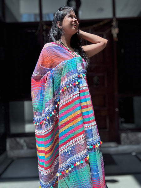 Bhujodi Cotton Saree - Pankhudi