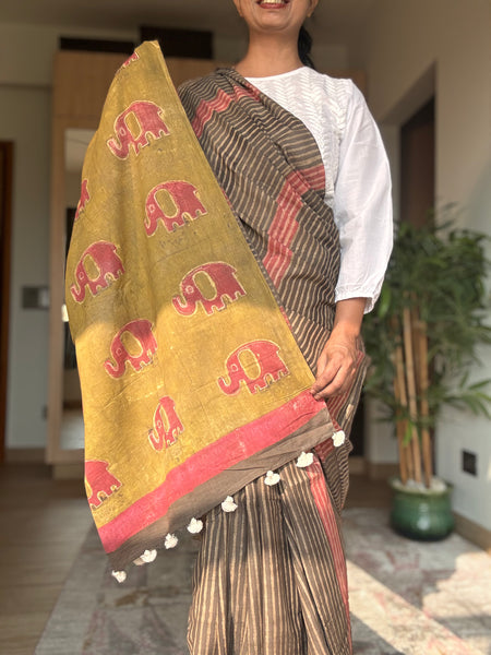 Anar Rang - Cotton block printed saree