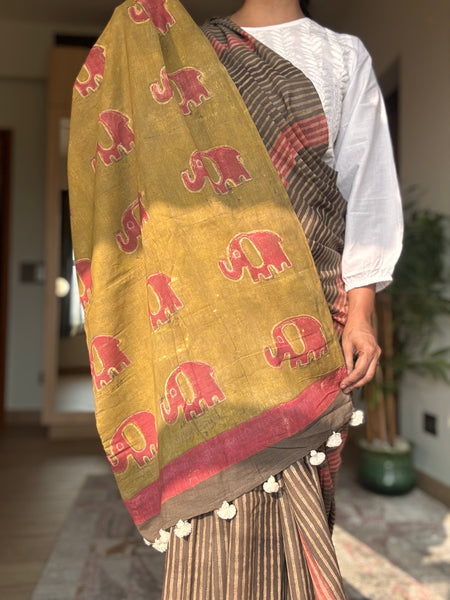Anar Rang - Cotton block printed saree