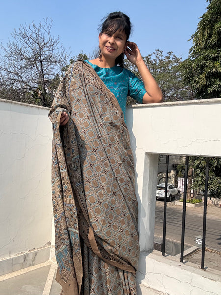 Desert Geometry- Ajrakh Hand Embroidered Cotton Saree - Naturally Dyed