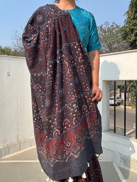 Desert Geometry- Ajrakh Hand Embroidered Cotton Saree - Naturally Dyed - Black