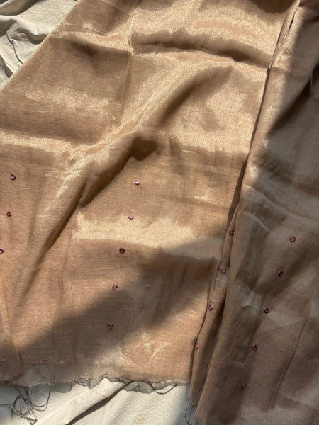 Swarnalata -Handloom Mul Tissue Saree with Pallu Embroidered