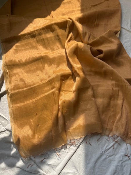 Deepti -Handloom Mul Tissue Saree with Pallu Embroidered