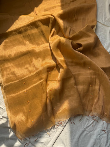 Deepti -Handloom Mul Tissue Saree with Pallu Embroidered