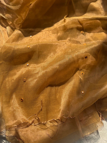 Deepti -Handloom Mul Tissue Saree with Pallu Embroidered