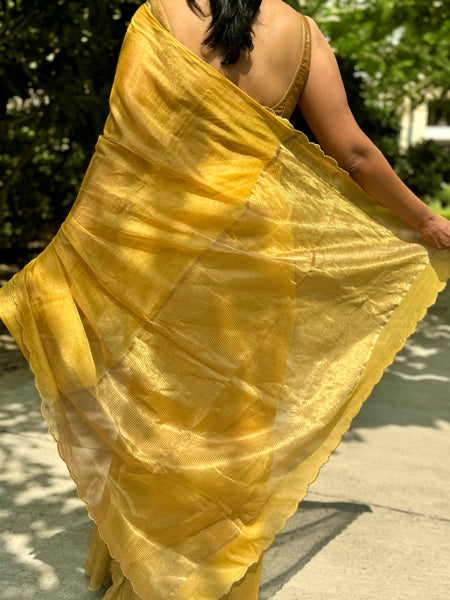 Jaal Embroidery on BP-  Tissue Chanderi Handwoven Saree