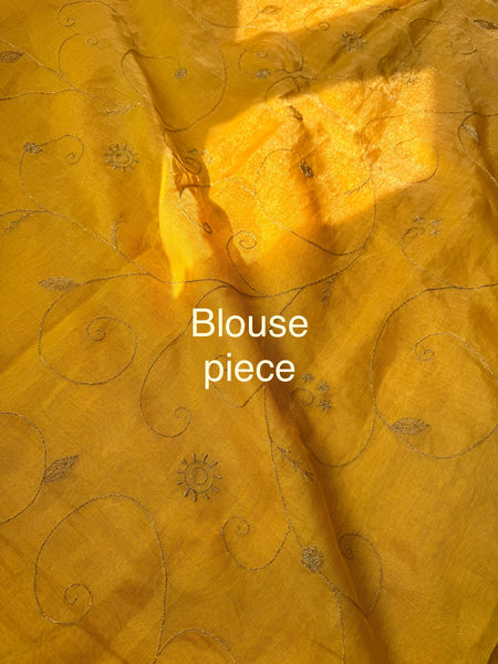 Jaal Embroidery on BP-  Tissue Chanderi Handwoven Saree