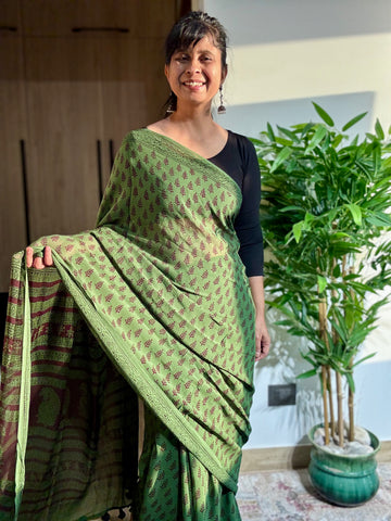 Bagh Naturally Dyed Georgette Saree - Green