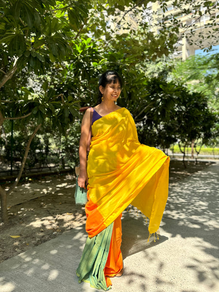 Handloom woven cotton saree