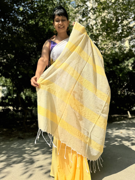 Handloom woven cotton saree