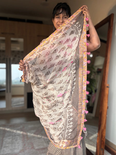 Embroidered pallu & patchwork inside border- kota doria saree