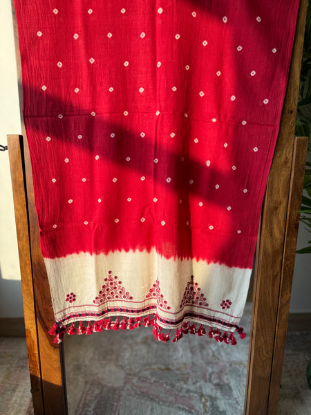Viraasat - Bhujodi handwoven organic kala cotton stole