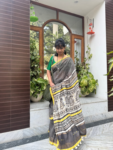 Embroidered Pallu & Soft Ikkat Patchwork Border- Cotton Silk Block Printed Saree