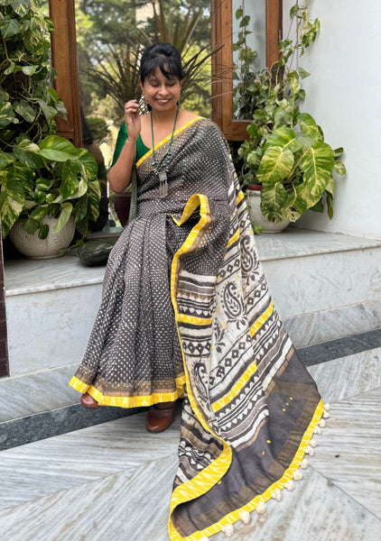 Embroidered Pallu & Soft Ikkat Patchwork Border- Cotton Silk Block Printed Saree